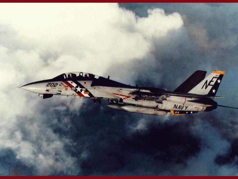 f14a2t.jpg