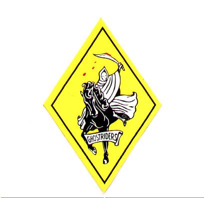 VF-142 Squadron Patch