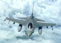 55FS F-16CJ