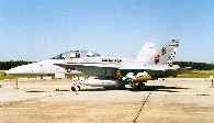 VMFA(AW)-224