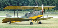 Tiger Moth