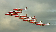 The Snowbirds