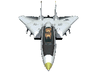 F14 Tomcat