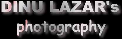 DINU LAZAR - PHOTOGRAPHER