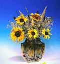 DINU LAZAR - still life photography