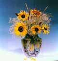 DINU LAZAR - still life photography