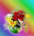 DINU LAZAR - still life photography