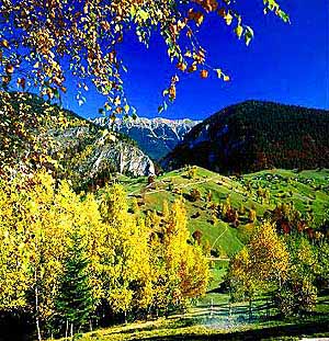 A DINU LAZAR PICTURE