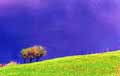 DINU LAZAR - landscape photography